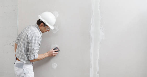 Best Emergency Mold Remediation  in Belvedere, SC