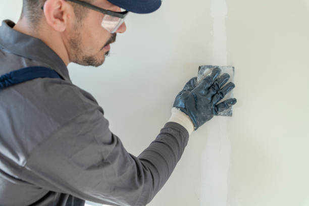Best Air Quality Testing for Mold Spores  in Belvedere, SC