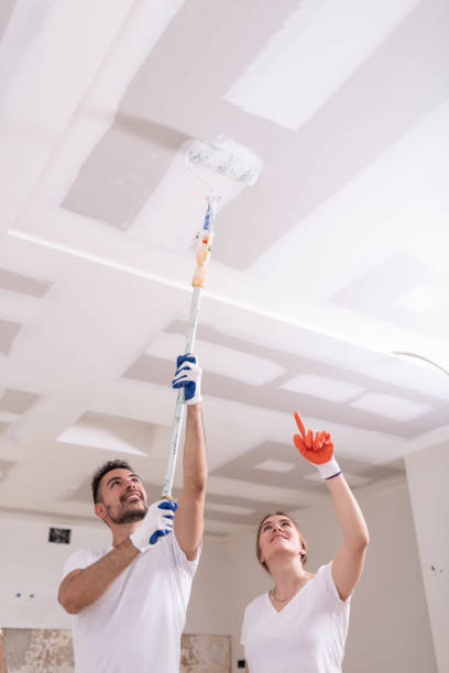 Best Basement Mold Removal  in Belvedere, SC
