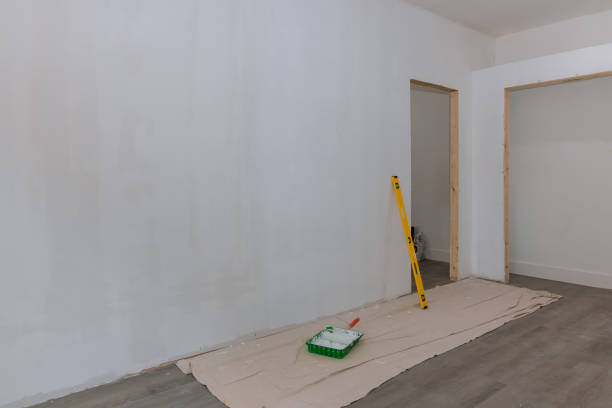 Best Water Damage & Mold Remediation  in Belvedere, SC