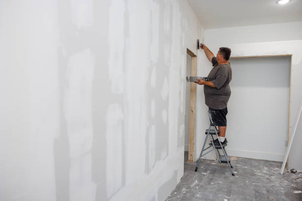 Best Industrial Mold Remediation  in Belvedere, SC